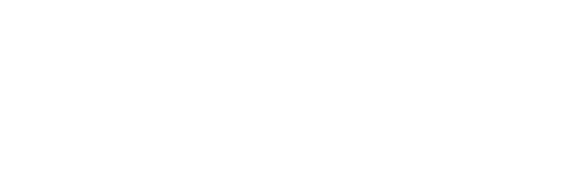 Silesia Automotive Logo Silesia Automotive Logo